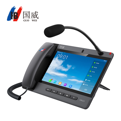 国威GW62V IP电话机